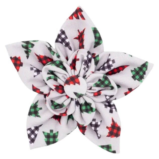 Collar Flower | Woodlands