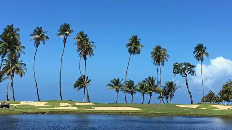 Dorado Beach "East"